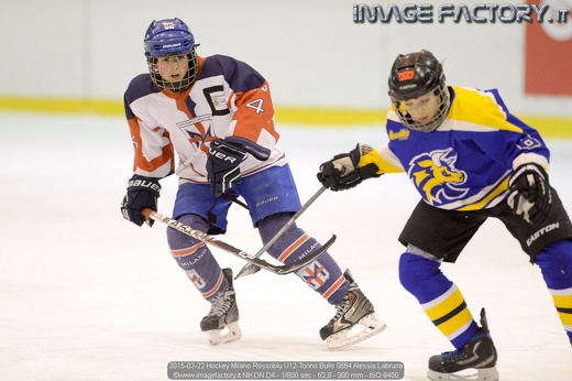 2015-02-22 Hockey Milano Rossoblu U12-Torino Bulls 0664 Alessia Labruna